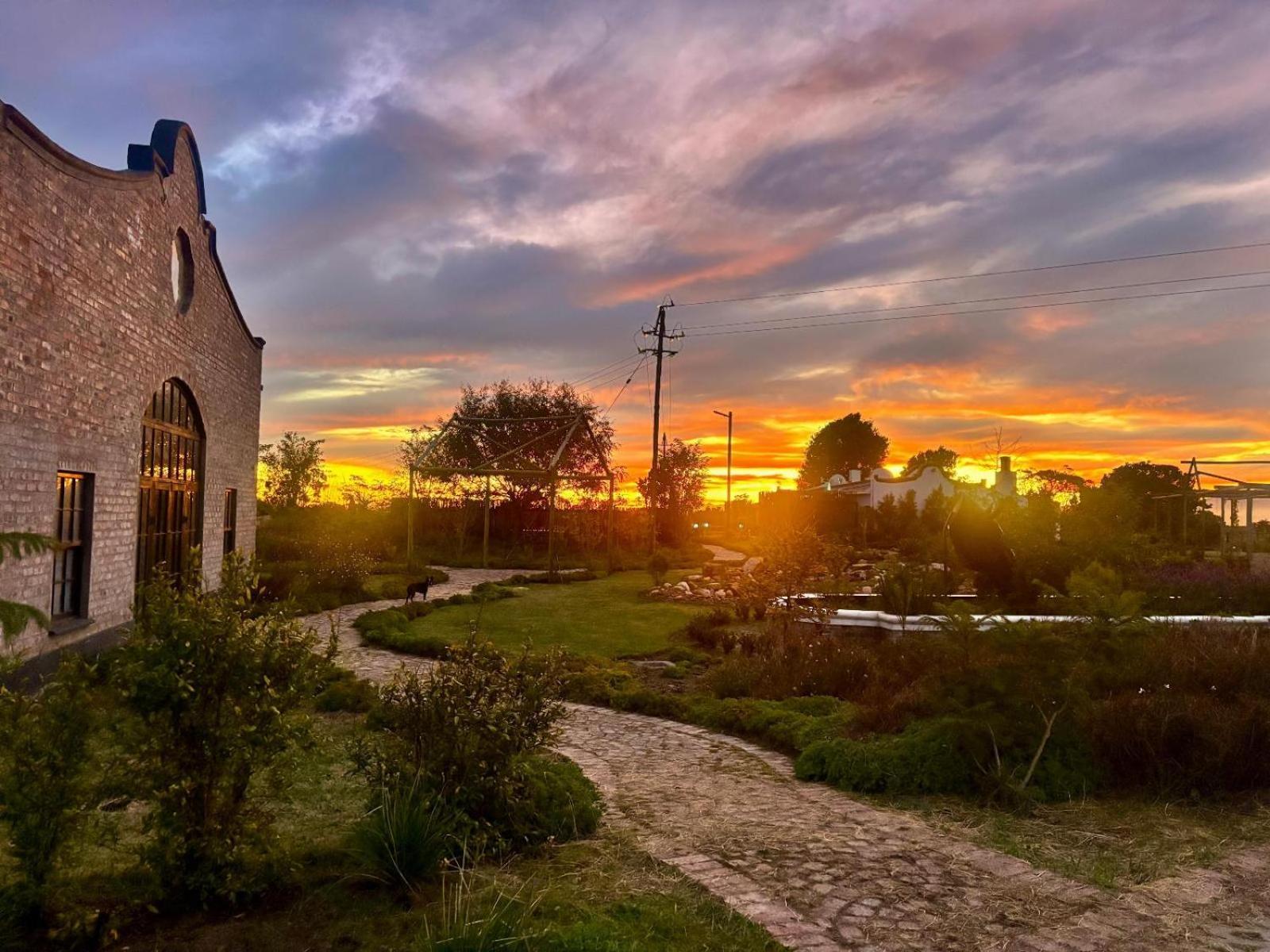 Апартаменти Dunkes Organic Equestrian Estate Джордж Екстер'єр фото